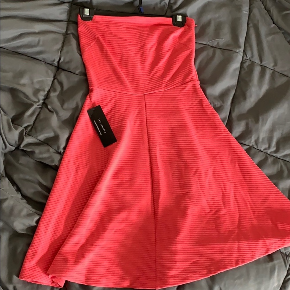 XS Strapless Salmon Pink Dress from The Limited